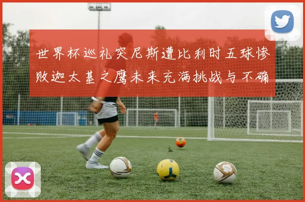 世界杯巡礼突尼斯遭比利时五球惨败迦太基之鹰未来充满挑战与不确定性