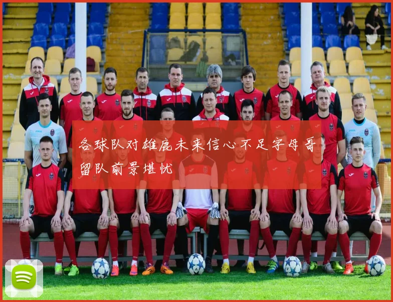 各球队对雄鹿未来信心不足字母哥留队前景堪忧